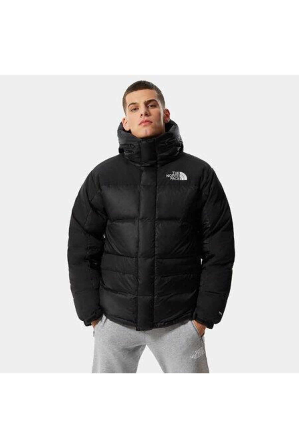 کاپشن مردانه نورث فیس مدل Himalayan Kaz Tüyü  The North Face