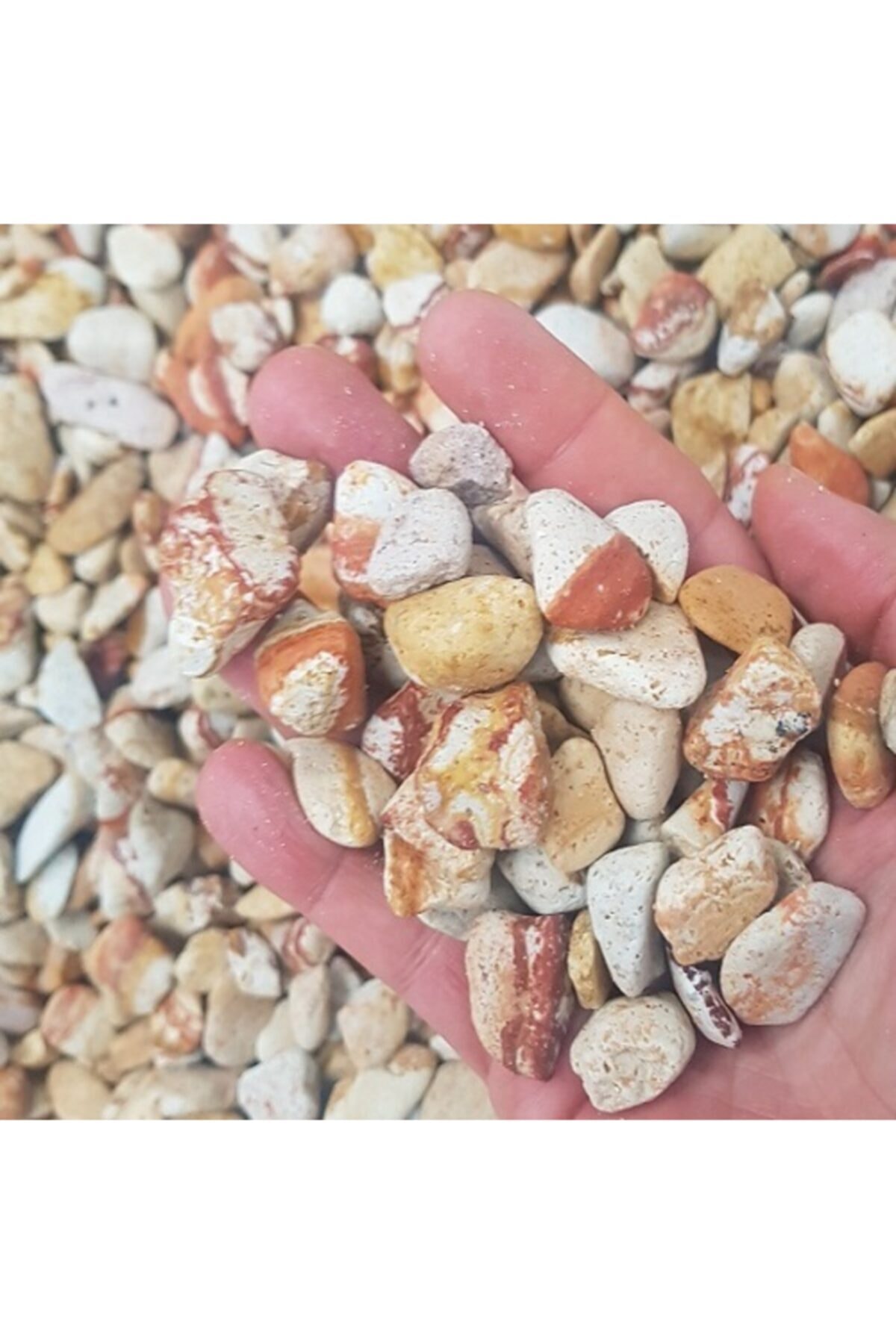 Sarı Çizgili Taş 7 Kg 1-2 Cm Dolomit Taş Dere Taşı Çakıl Taşı Bahçe Süs Taşı Akvaryum Teraryum Taşı