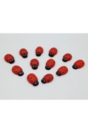 12 Adet Ahşap Mini Uğur Böcek Figürlü Kapı Duvar Masa Vitrin Süsleri Buzdolabı Magnet t746474674773