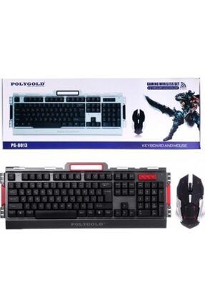 Polygold Pg-8013 Gaming Klavye - Mouse Set