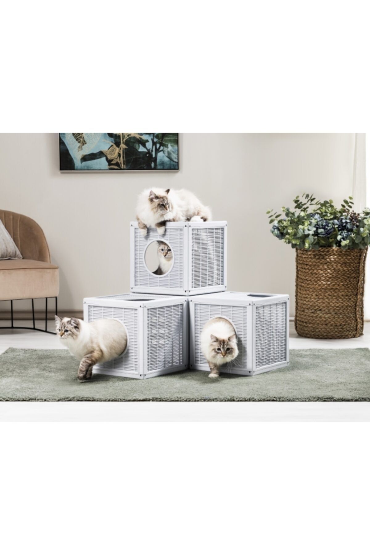 Bama-Qublo Modular Cat Play Cube 3