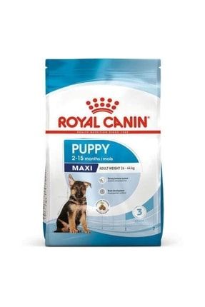 Royal Canin Maxi Puppy Büyük Irk Yavru Köpek Maması 10 Kg 3182550778305
