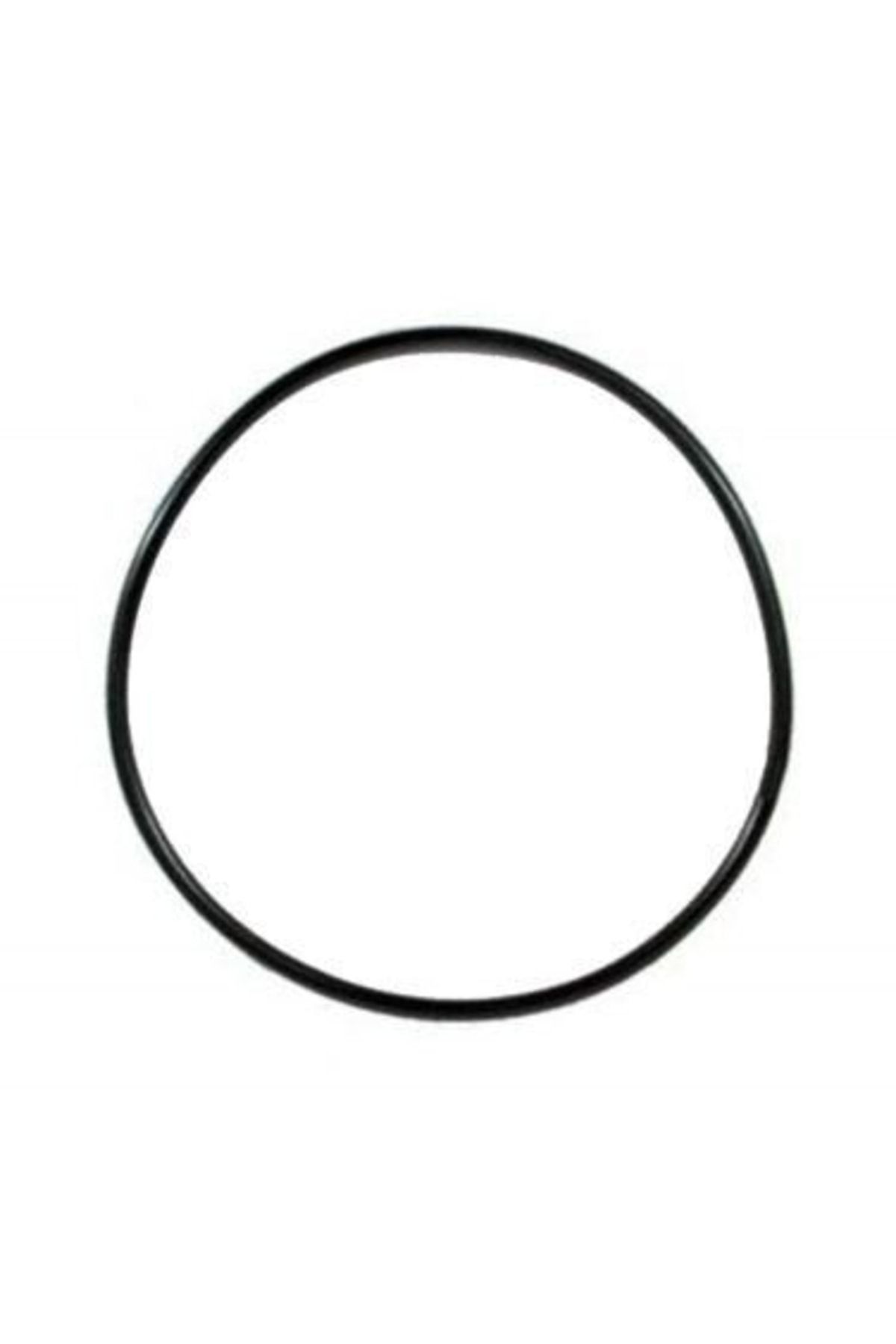 SunSun-303 Bucket Gasket 4