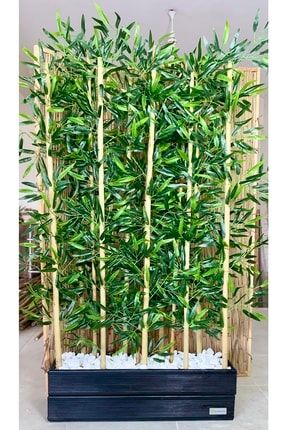 Gerçek Ithal Bambu Dekor 190 Cm Siyah Saksı Ahşap NS70000079
