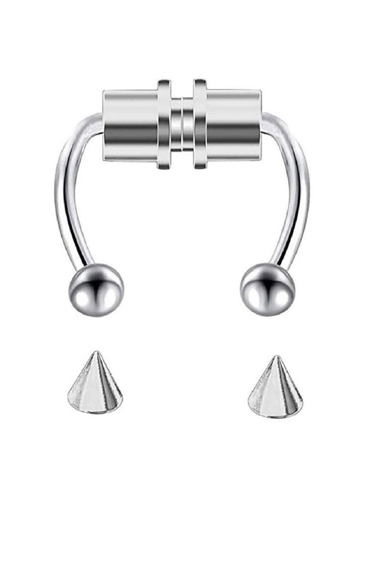 Fake shop septum magnetic