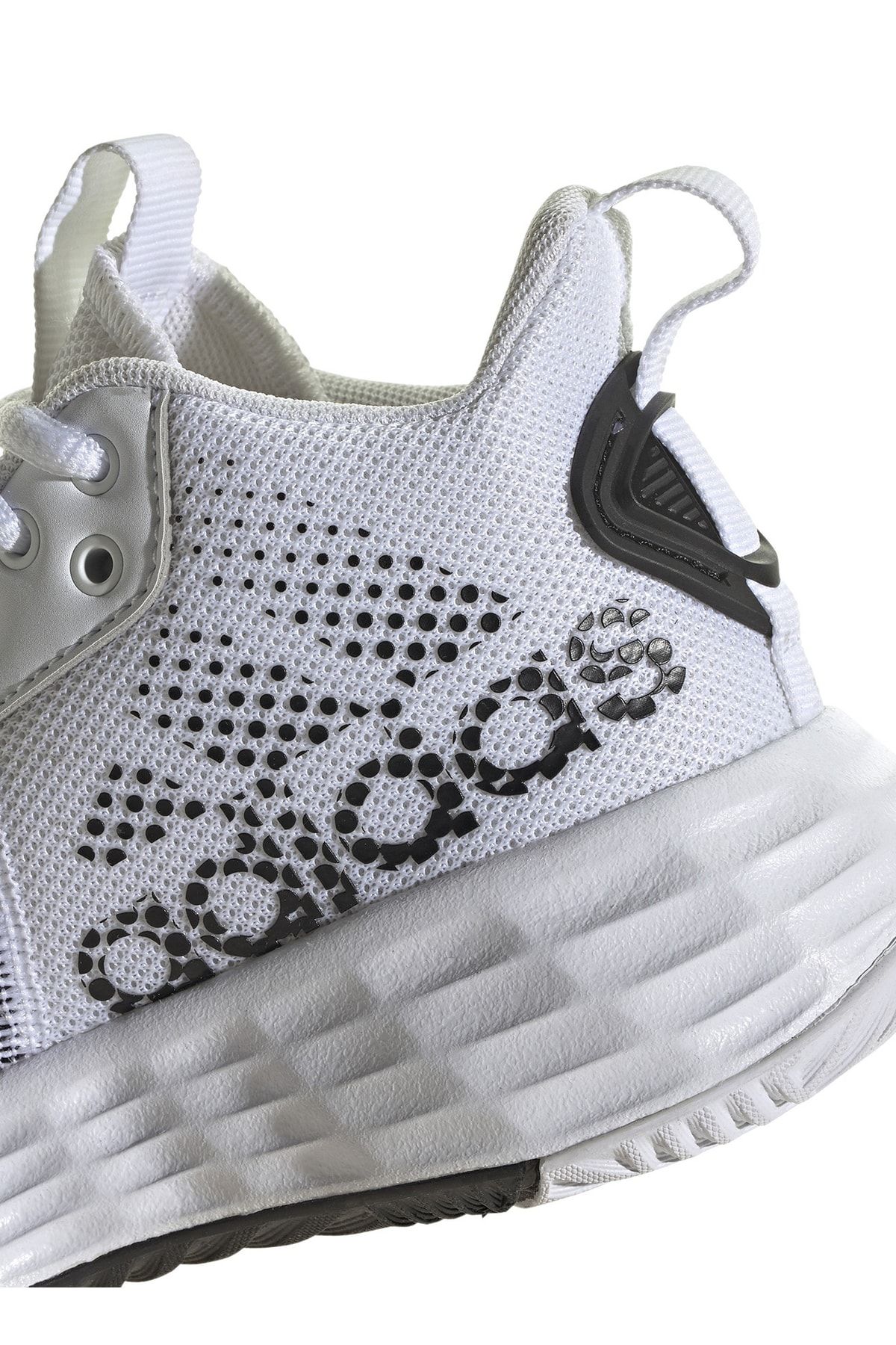 Adidas basketball shoes best sale 24