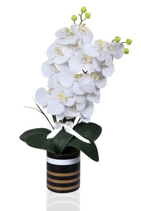 Islak Orkide Aranjmanı (yapay Çiçek) 112 1236542165421356103545
