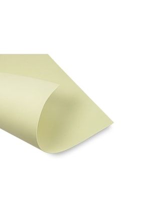 Çiçek Yapım Eva 2 Mm 50x70 Cm - Ten Rengi 1007048026731