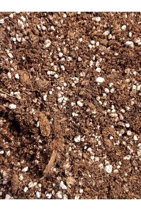 Etobur Bitki Tohumu Hediyeli Özel Etobur Bitki Toprak Karışımı Sphagnum Peatmoss 2 Litre Torf DMET1