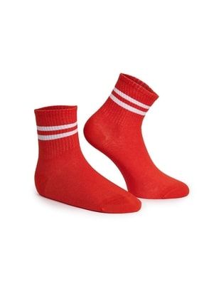 Renkli 5'li Çizgili Kadın Soket Çorap KAF000024