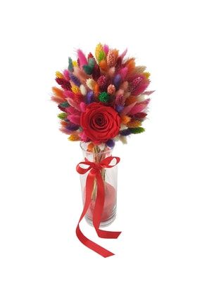 Kırmızı Solmayan Gül (XL) Arcobaleno Vazoda Dekoratif Kuru Çiçek &masa Dekoru &25-30 Cm CS0665