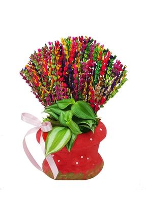 Telgraf Çiçeği Tradescantia Ve Renkli Lavanta Kuru Çiçek Tasarımı&kokulu Dekoratif Bitki 15-20 Cm CS1749