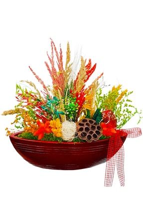 Ithal Seramik Saksıda Renkli Pop Up Kuru Çiçek Tasarımı 20-25 Cm&ev Dekorasyonu & Dekoratif Çiçek CS1803
