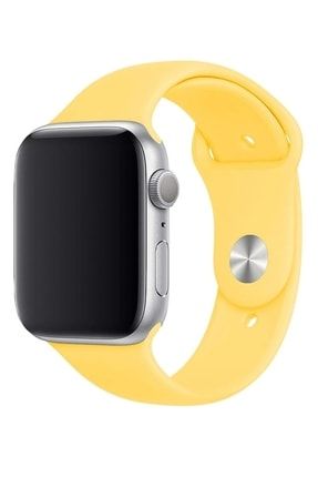 Apple Watch Kordon 2 3 4 5 6 7 Se Seri Uyumlu 42-44-45 mm Silikon Kordon Kayış SİLİKİN01