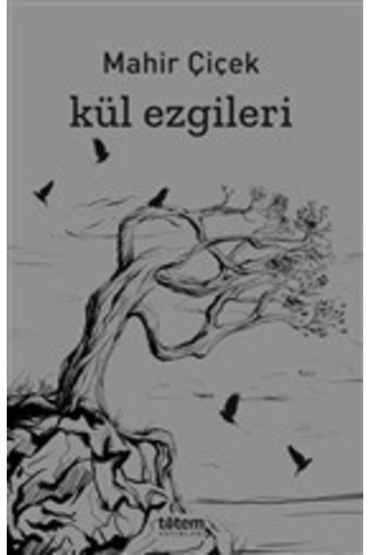 Totem Yayıncılık Kül Ezgileri