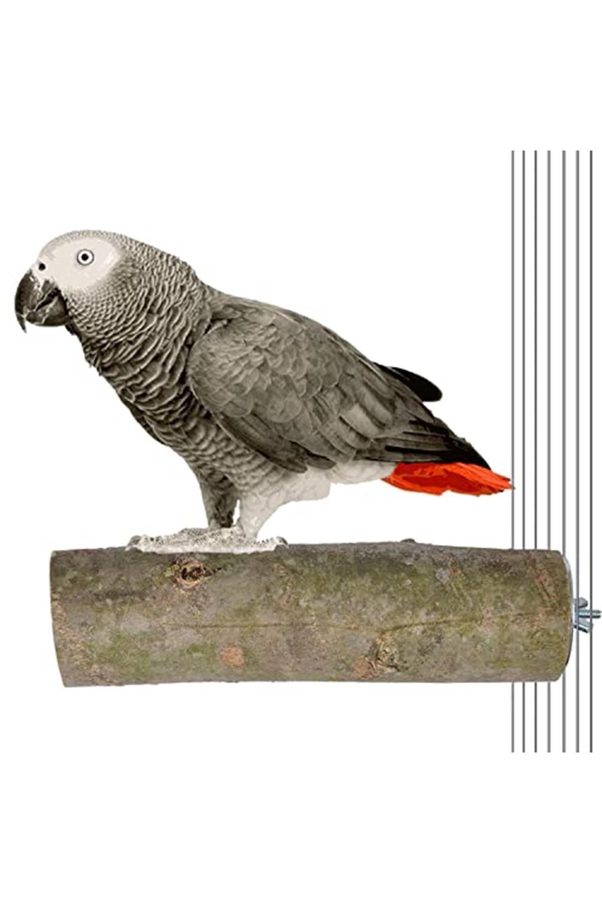 Ağaç Kütük Papağan Kuş Tüneği Büyük Boy Tünek Boy 17 Cm Çap 5 Cm