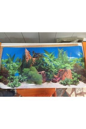 muhtelif akvaryum arka fon 100 50 cm
