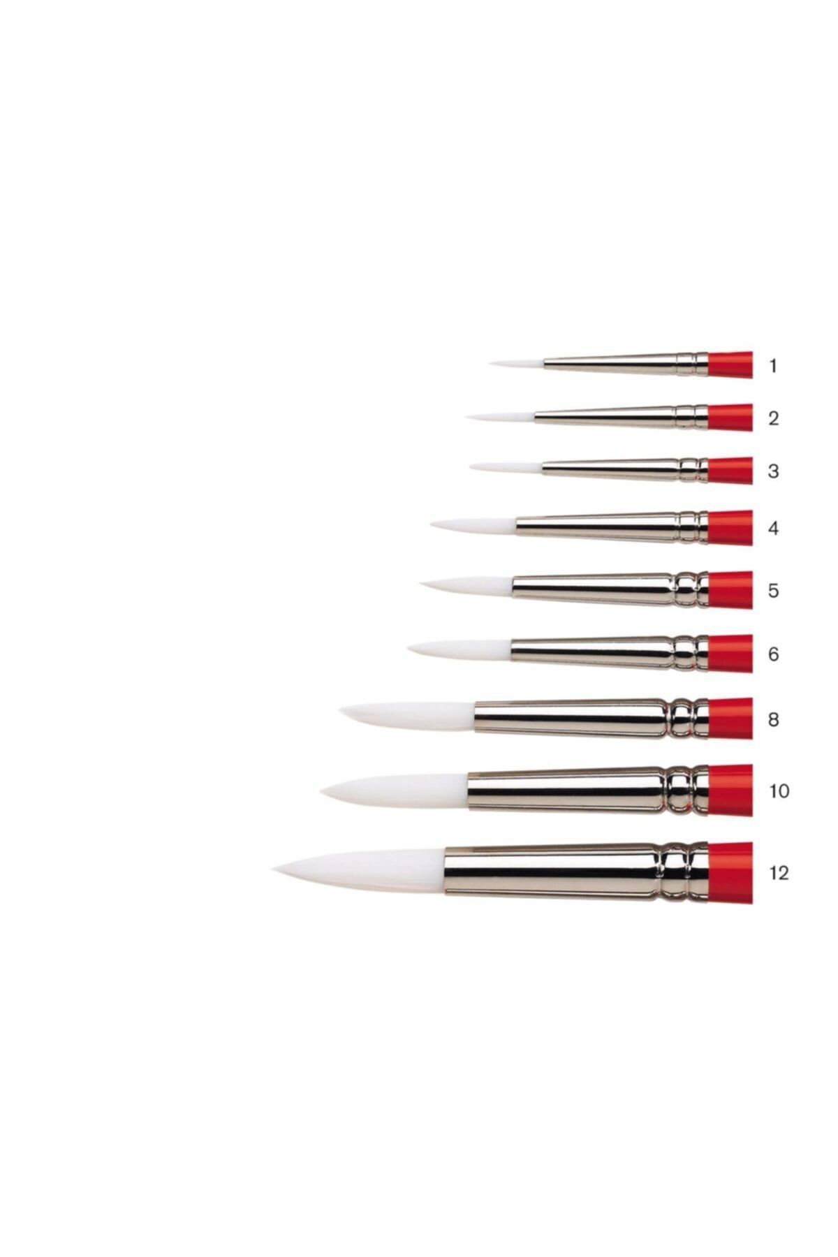 Winsor Newton-Winsor & Newton : University : 235 Series Long Handle Round Brush No : 8 2