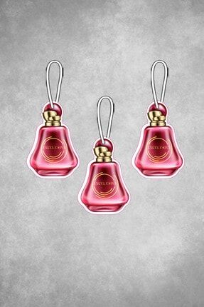 Parfüm Şişesi Fransız Parfümü Esanslı Baskılı Ipli Dekoratif Asma Ayna Oto Kokusu 3'lü Paket EX60