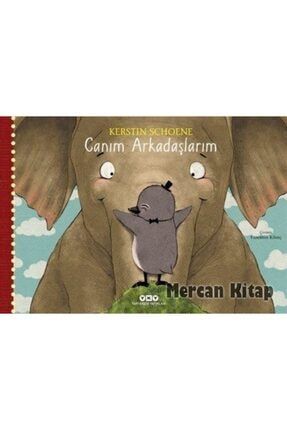marti yayinlari o ses nedir enstrumanlar sesli kitap fiyati yorumlari trendyol