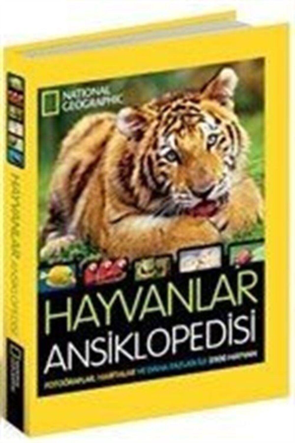 beta yayinlari national geographic kids hayvanlar ansiklopedisi fiyati yorumlari trendyol
