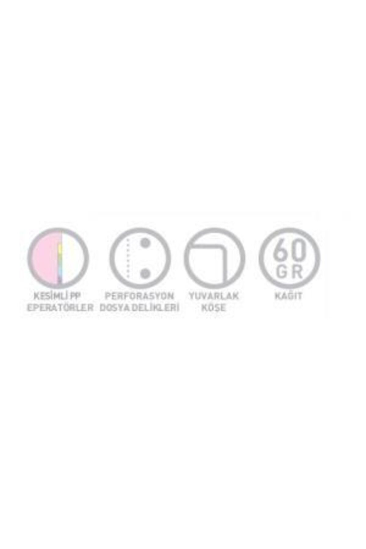 Gıpta-Tb A4 Spiral Separator Pp Cover 3+1 Notebook (3 Checks + 1 Stripes) 150 Yp (6 Pack) 2200 2