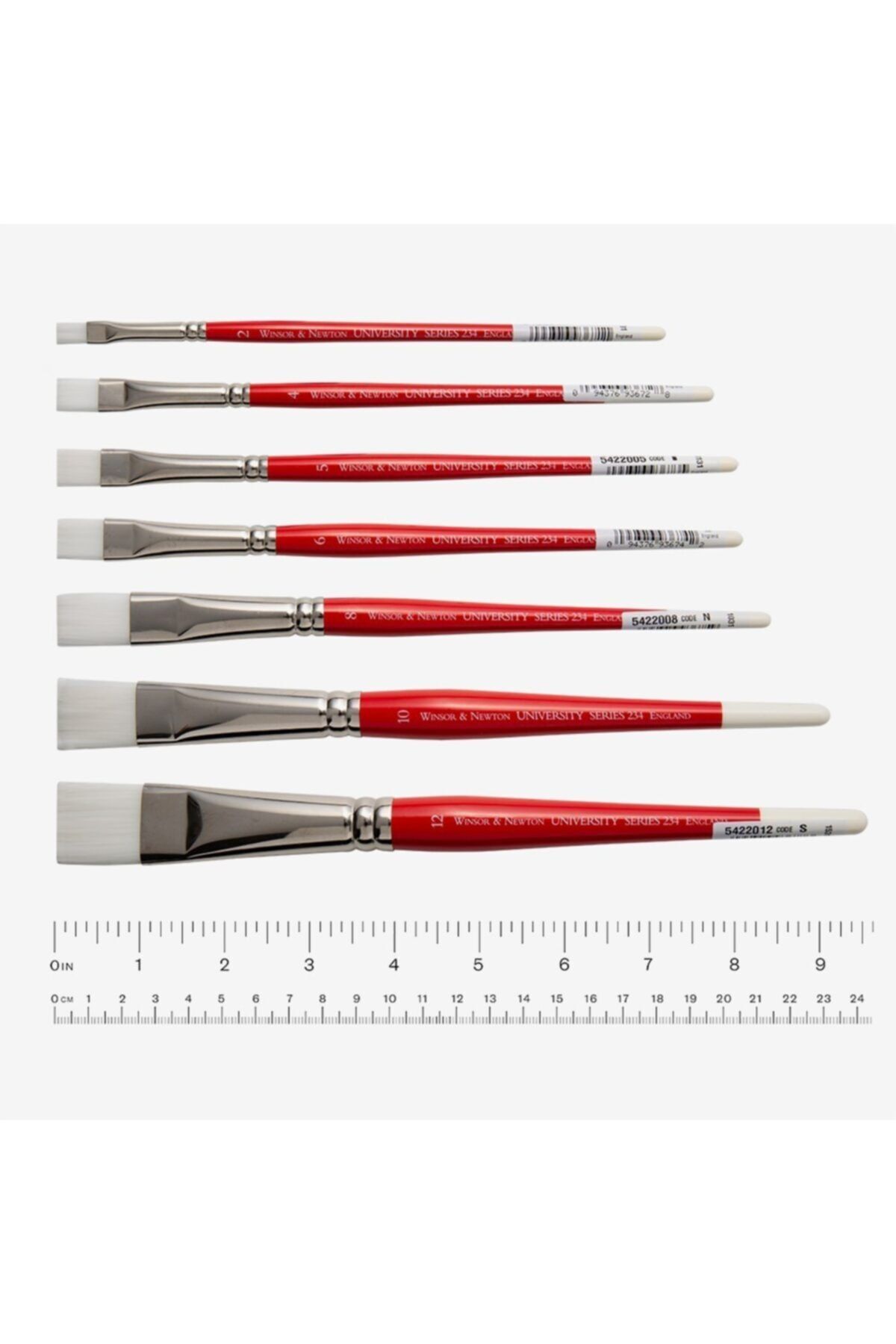 Winsor Newton-Winsor & Newton : University : 234 Series Short Handle Flat Brush No : 6 3