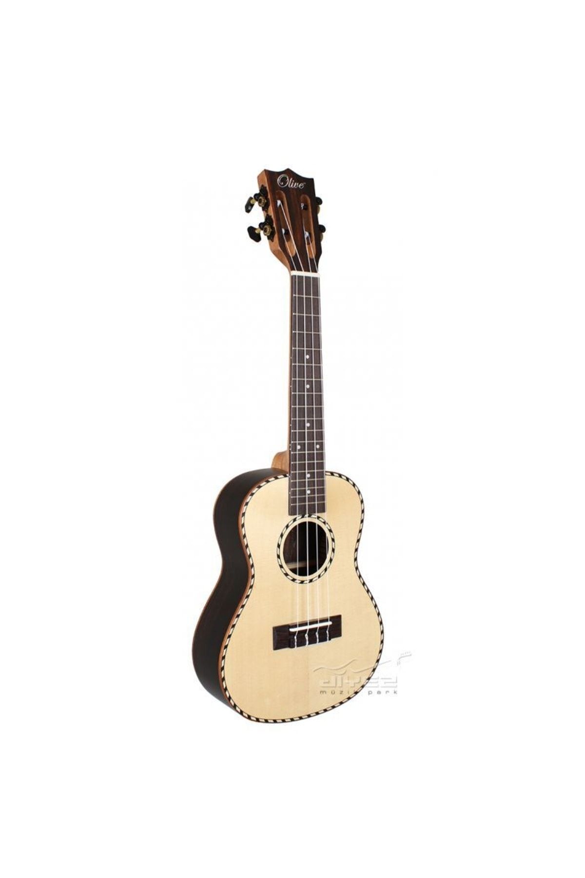 Cordoba 21c concert ukulele best sale