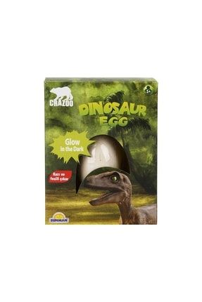 Karanlıkta Parlayan Dinozor Yumurtası Kazı Seti P22791S8761