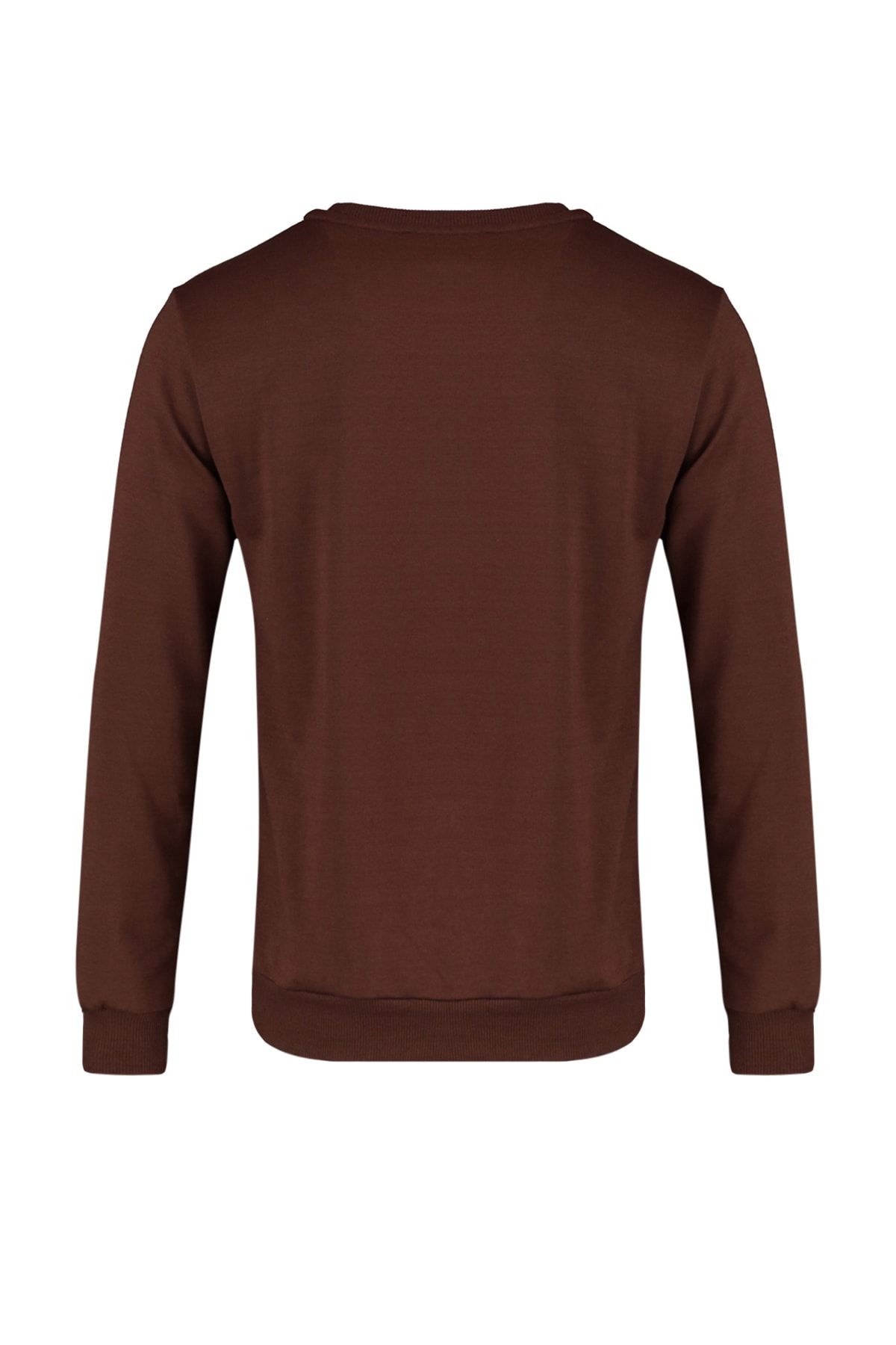 TRENDYOL MAN Kahverengi Erkek Basic Regular Fit Bisiklet Yaka Uzun Kollu Sweatshirt TMNAW20SW0164 EB13486