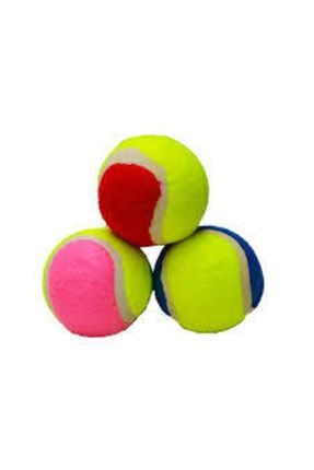 Tenis Topu Köpek Oyuncağı 3 Adet 865623365685