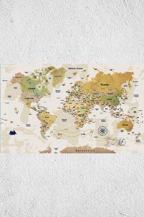 Detaylı Dünya Haritası Duvar Sticker DS-216