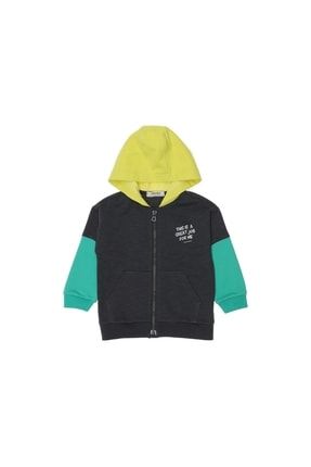 Erkek Bebek Kapüşonlu Çok Renkli Sweatshirt 2211BB08013