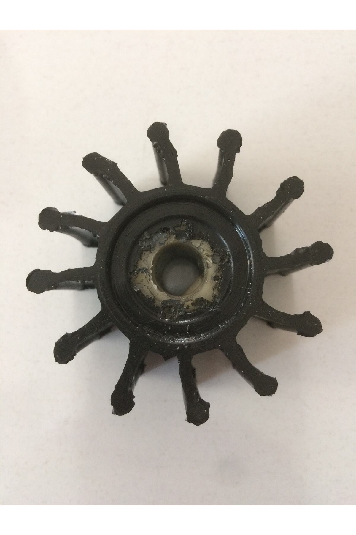 Gross 12volt Mazot Aktarma Pompası Vakum Lastiği 1 Inç Pompa 24 Volt