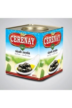 10 kg Cerenay Kızıl Zeytin A1222