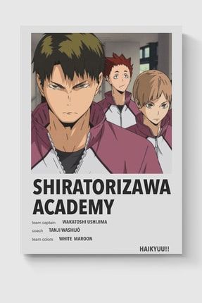 Shiratorizawa Academy Haikyuu!! Anime Info Card Bilgi Kartı Minimalist Poster DUOFG200927