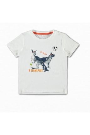 Erkek Çocuk Beyaz Sporcu Hayvanlar Baskılı T-Shirt NI0013179103