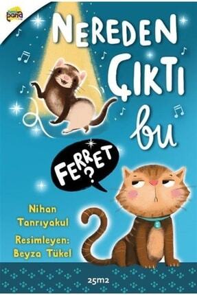 Genel Markalar Nihan Tanrıyakul - Nereden Çıktı Bu Ferret?