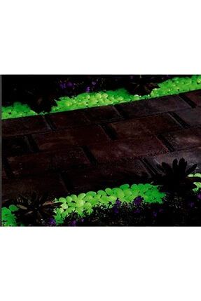 Saksı Bahçe Süsü Fosforlu Karanlıkta Parlayan Takıl Taşı 100 Adet fyr-ANKAC-549384880