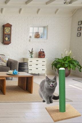 catwalk 2 adet bentonit bebek pudrali