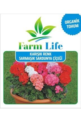 farmlife tohum 100 adet yediveren