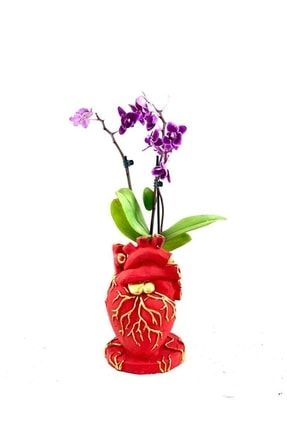 Orkide Kalp Saksı OA2225506
