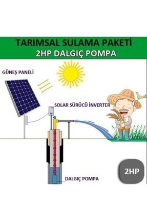 2hp Dalgıç Pompa - Tarımsal Sulama Sistemi 202214156