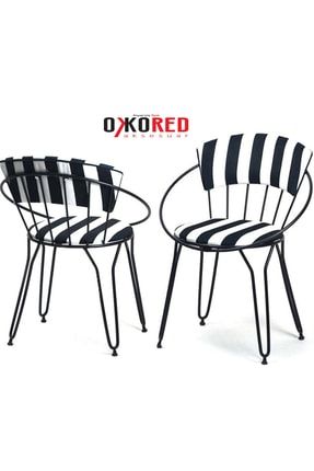2 Adet Leno Zebra Metal Ayaklı Sandalye, Leno Zebra Salon,mutfak Sandalyesi Ln9031 LN903