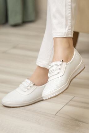 Business Shoes 
