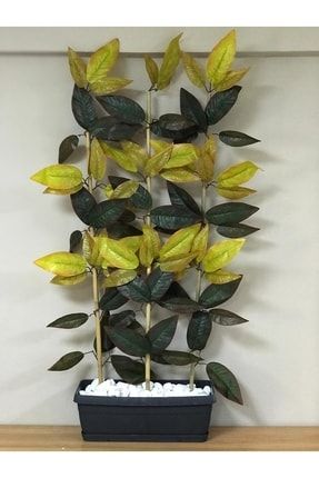 Yapay Yoğun Yapraklı Dekoratif Mango Ağacı 3 Gövde 150cm Yeşil YPY-MNG-150-Y
