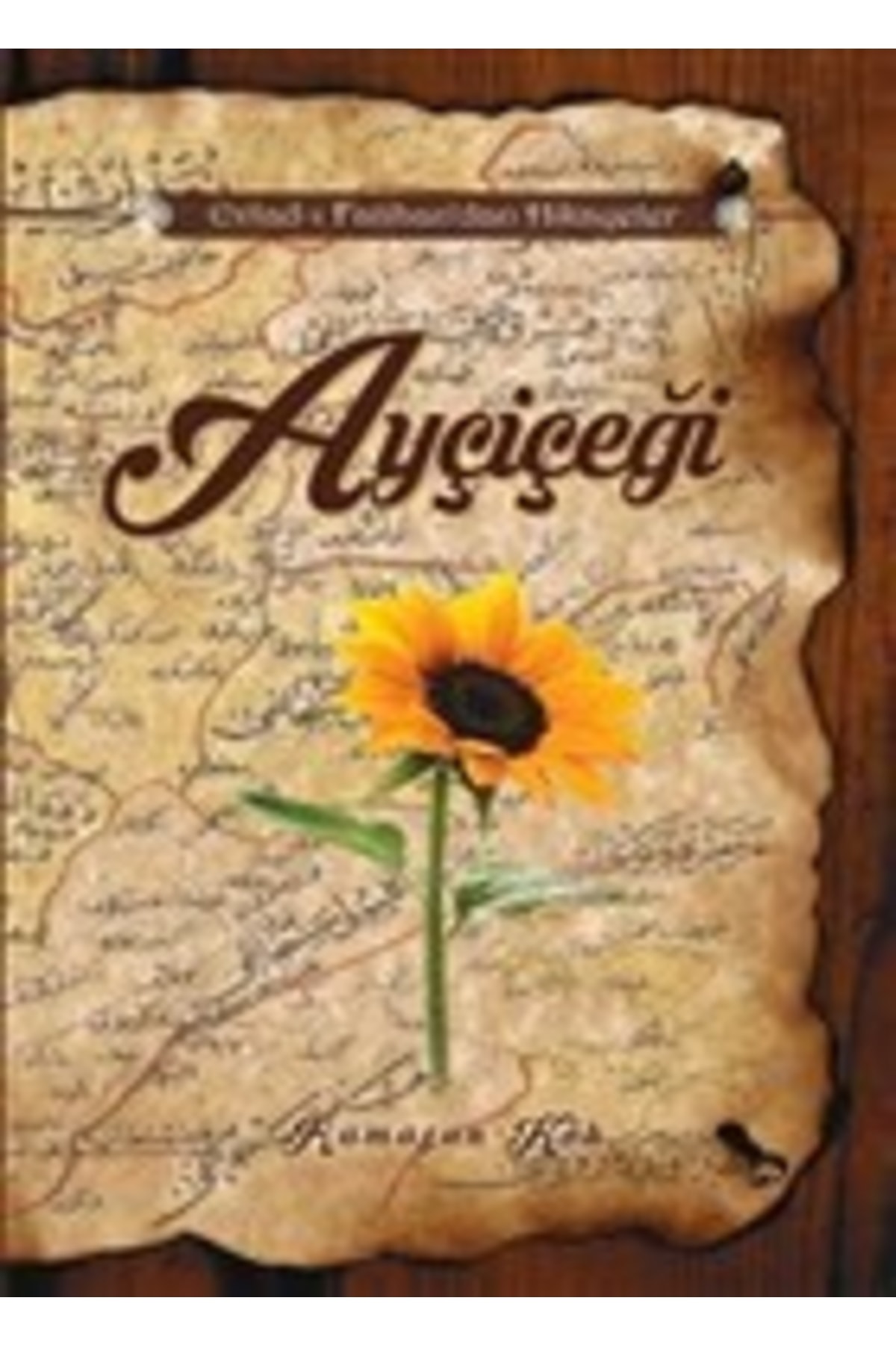 Ayçiçeği