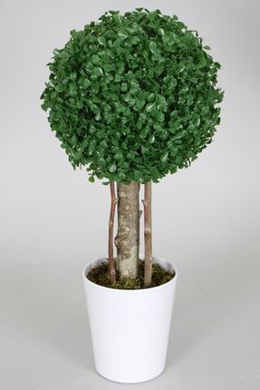 Yapay Küçük Şimşir Ağacı 50 Cm Beyaz Saksılı YPCCK-FKYT-1400