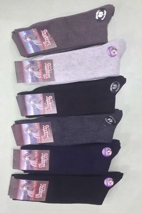Kuzu Yünü Dikişsiz Burunlu Erkek Çorabı 6'lı Paket Karışık Renk Hasyun ALC Dikişsiz Burun Yün Çorap