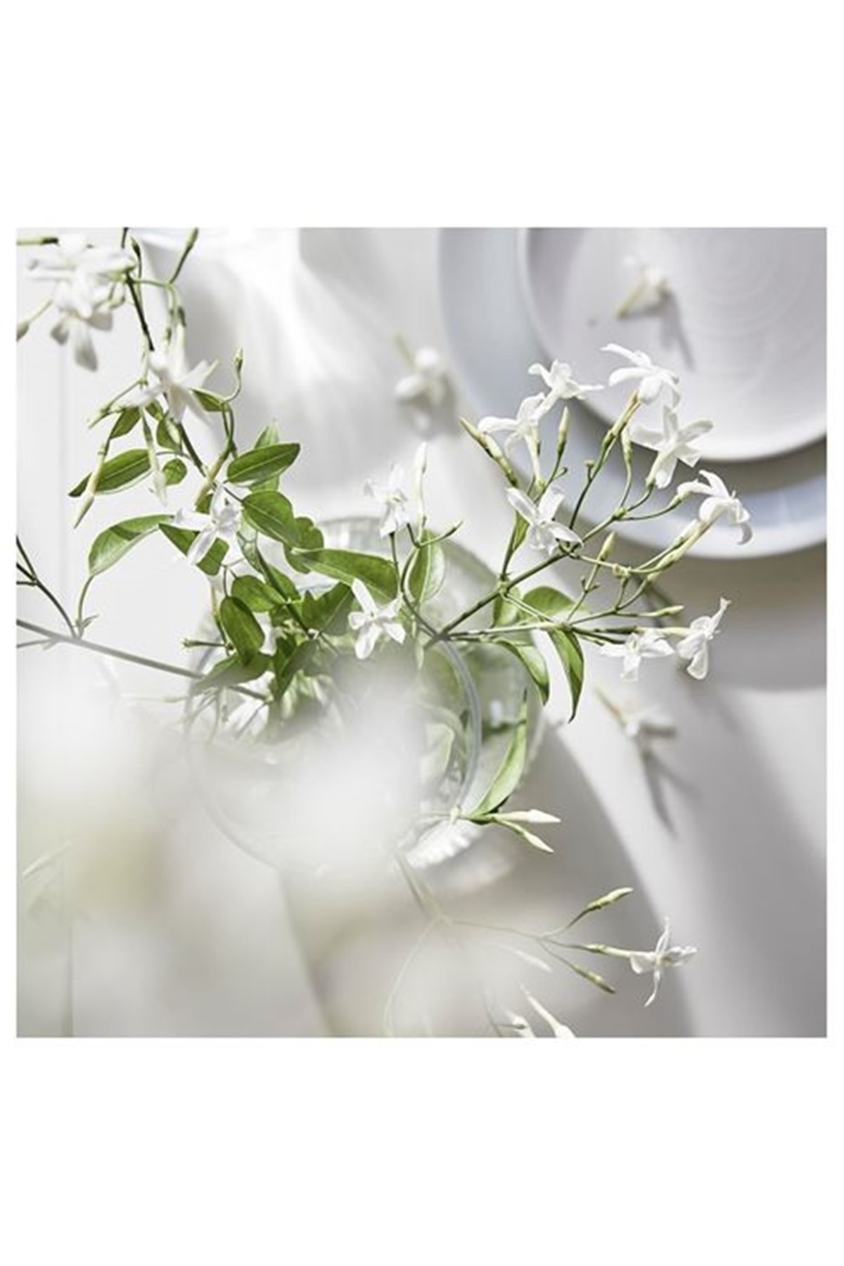 IKEA Lugnare Kokulu Tealight Mum Pembe Yasemin Kokulu Fiyatı, Yorumları